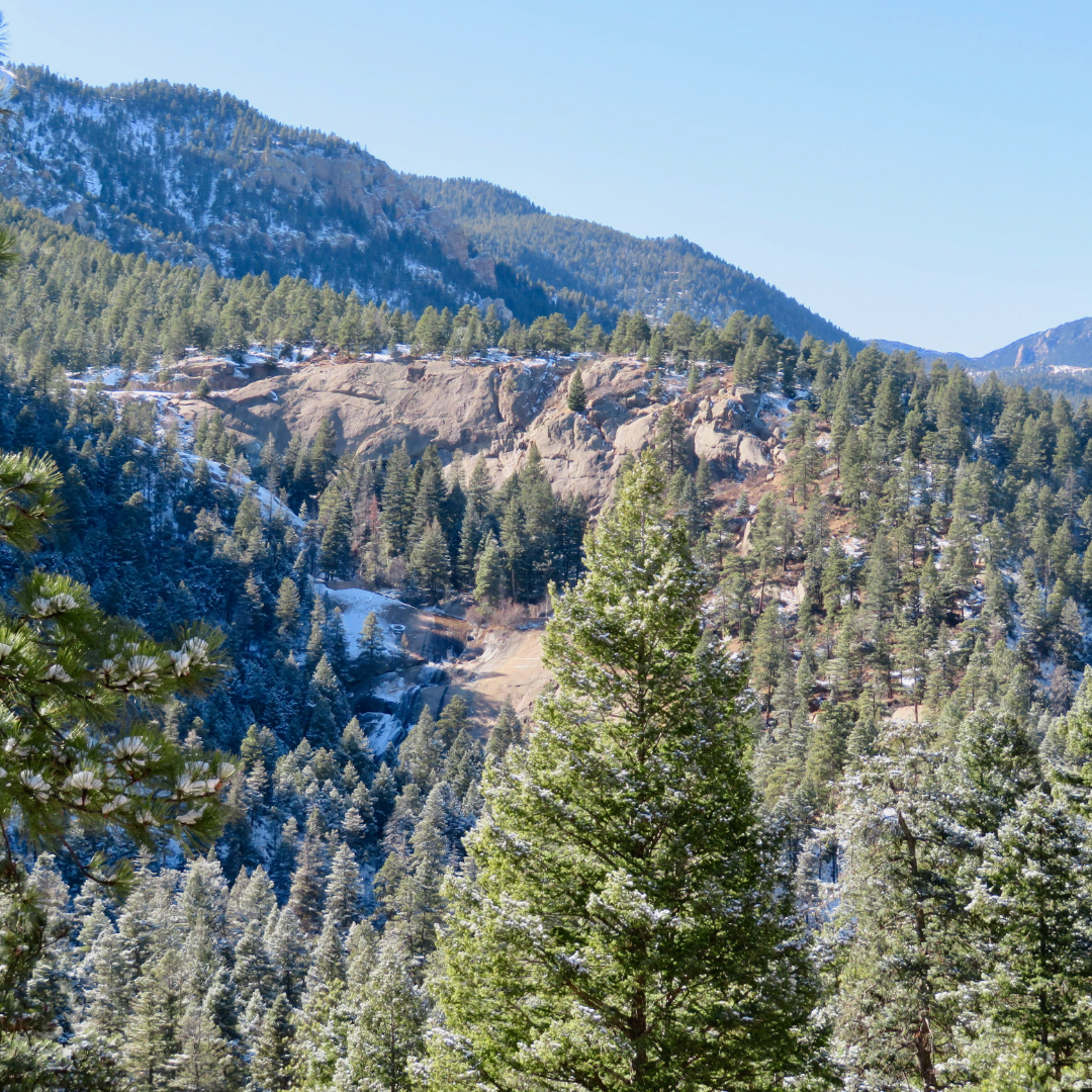 MIDDLE & UPPER COLUMBINE TRAILS - NORTH CHEYENNE CANYON