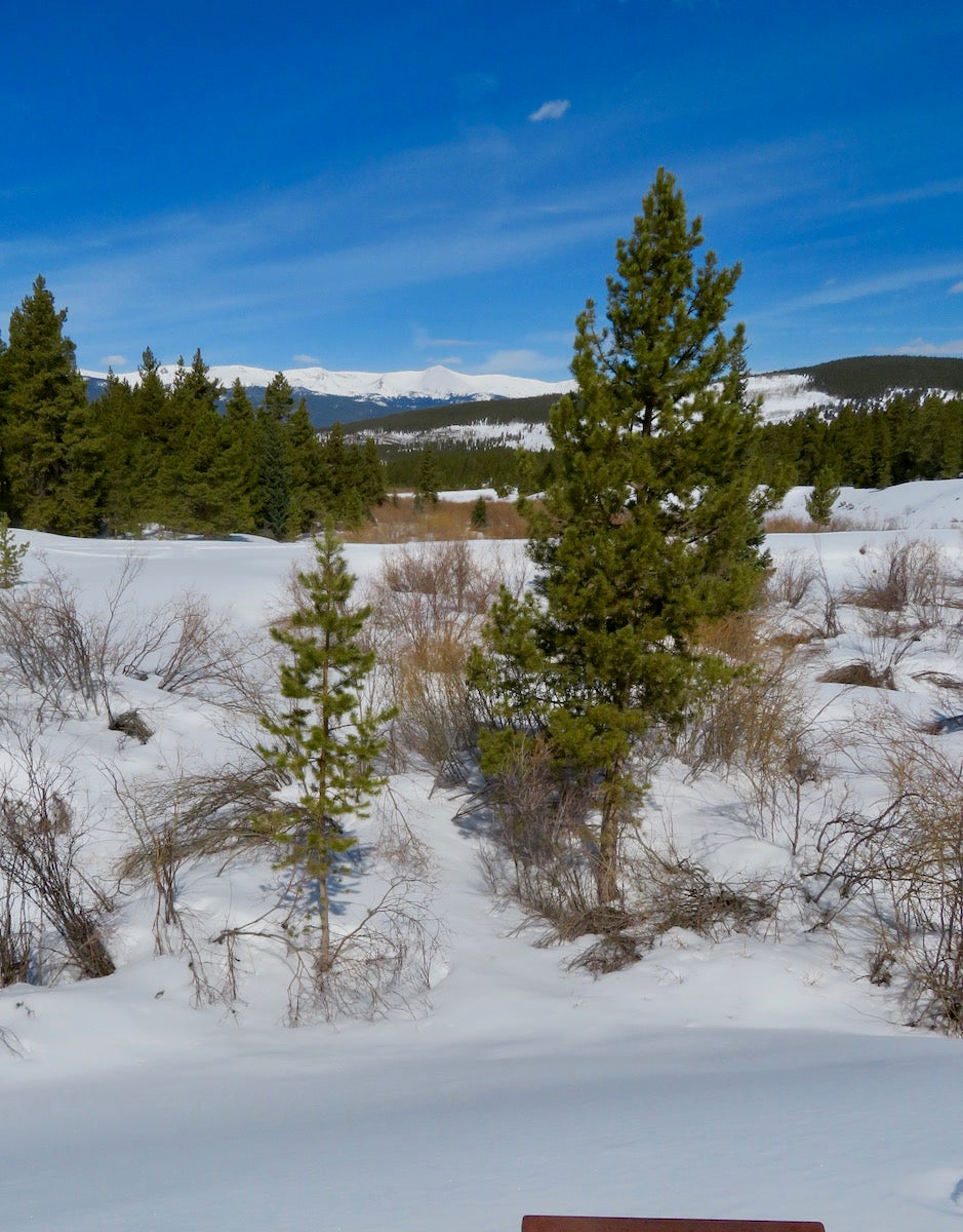 MINERAL BELT TRAIL - SKI INTO HISTORY