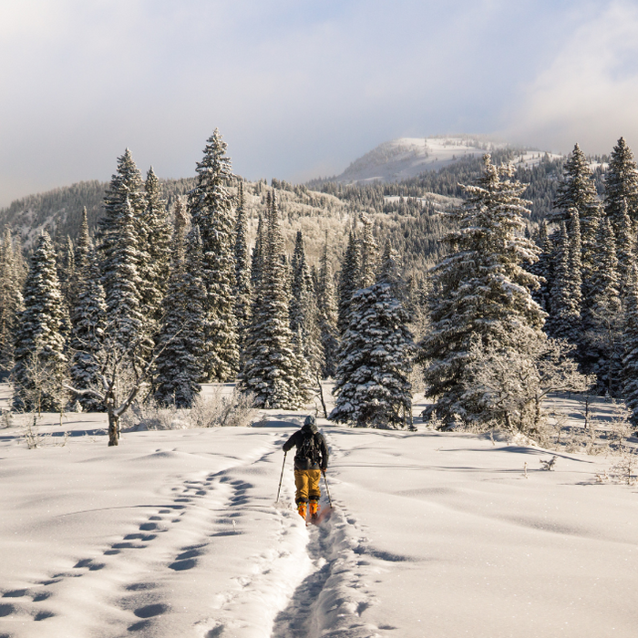 Uphill Skiing Access at Colorado Ski Resorts