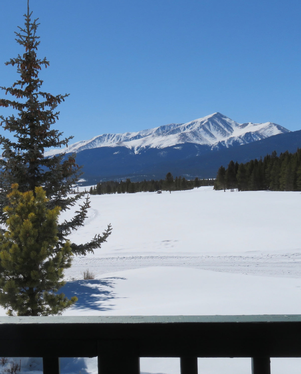 Ski Mount Massive Golf Course | Cross-Country Ski Guide — Mountain Chalet