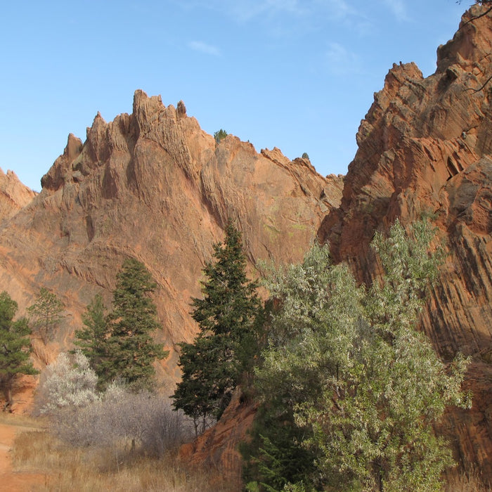 Red Rock Canyon Open Space