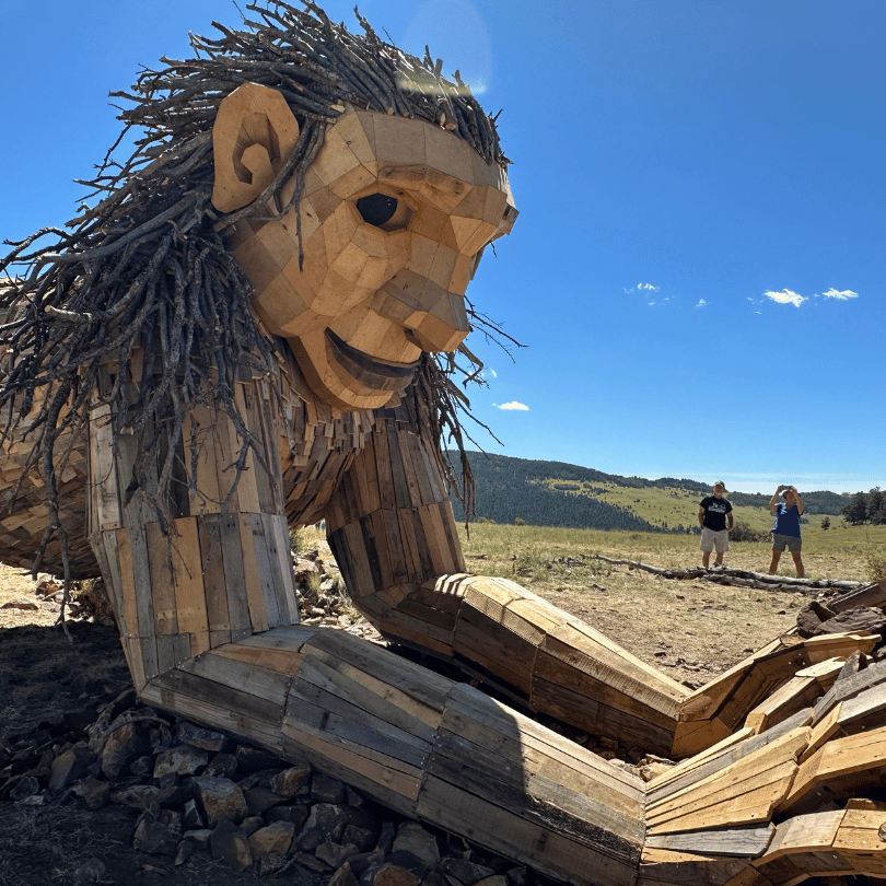 View up close of Rita, the Rock Planter along the American Eagle Mines Trail.