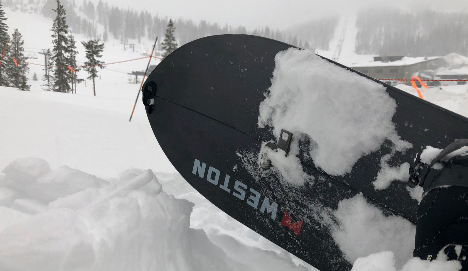 POWDER DAY ON SPLITBOARDS AT MONARCH