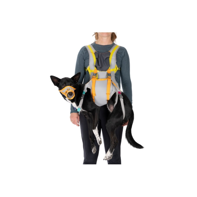 Ruffwear Backtrak Dog Evacuation Kit Cloudburst Gray