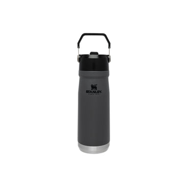 Stanley The IceFlow Flip Straw Water Bottle 17 oz Charcoal