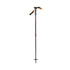 Black Diamond Carbon Whippet Pole
