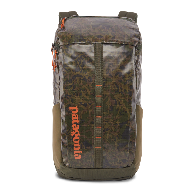 Patagonia Black Hole Pack 25l Lichen: Basin Green