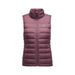 Black Diamond Access Down Vest Fig