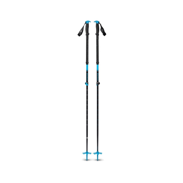 Black Diamond Expedition Ski Poles Desert Sky
