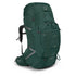 Osprey Packs Aether Plus 100 Axo Green