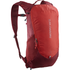 Salomon Trailblazer 10 Aura Orange / Biking Red