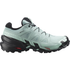Salomon Speedcross 6 GTX Aquifer / Black / Yucca