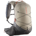 Salomon Xt 20 Feather Gray / Plum Kitten / Cherry Tomato