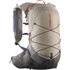 Salomon Xt 15 Feather Gray / Plum Kitten / Cherry Tomato
