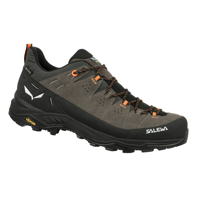 Salewa Men's Alp Trainer 2 GTX Bungee Cord/Black