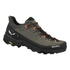 Salewa Alp Trainer 2 Bungee Cord/Black