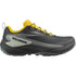 Salomon Genesis Gore-tex Black / Sedona Sage / Incaberry