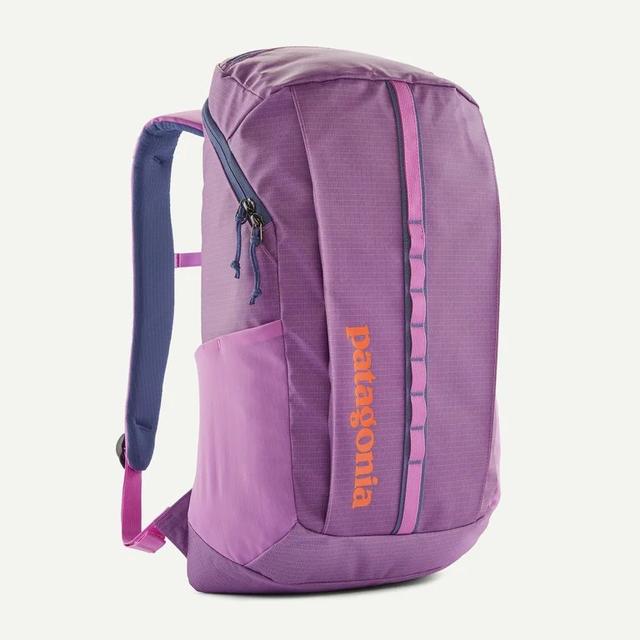 Patagonia Black Hole Pack 25l Brisk Purple