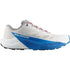 Salomon Pulsar Lunar Rock / White / French Blue