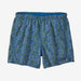 Patagonia Baggies Shorts - 5 In. Floral Fun: Vessel Blue