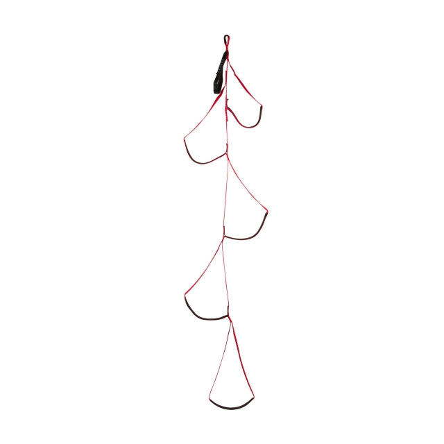 Black Diamond Alpine Aiders One Color